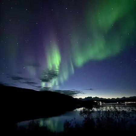 Leilighet I Tromso Exterior photo