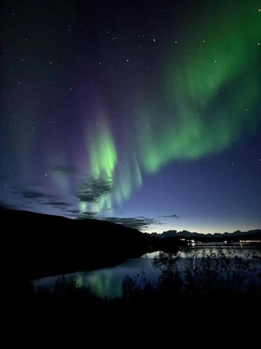 I * Tromso